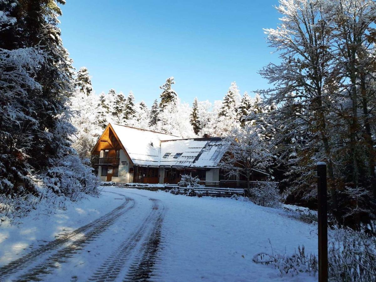 Saint-Martin-en-Vercors Auberge Refuge De Roybon מראה חיצוני תמונה